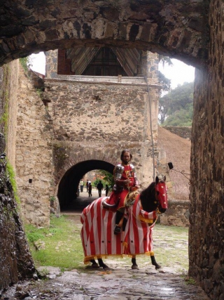 Justas con caballos